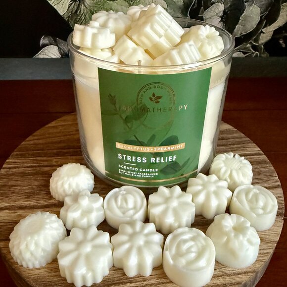 NEW WAX MELTS 2.12oz Bath and Body Works Candle Wax Melts - EUCALYPTUS SPEARMINT - Picture 1 of 4